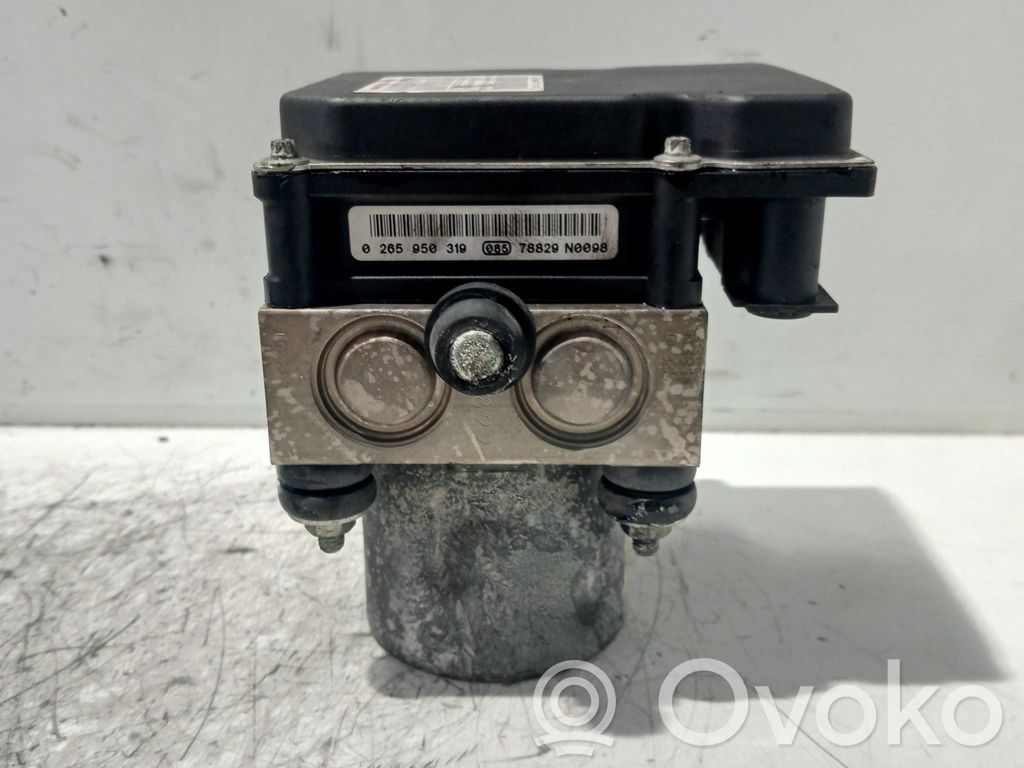 ABS Pump   0265950319,0265234037,9649988180