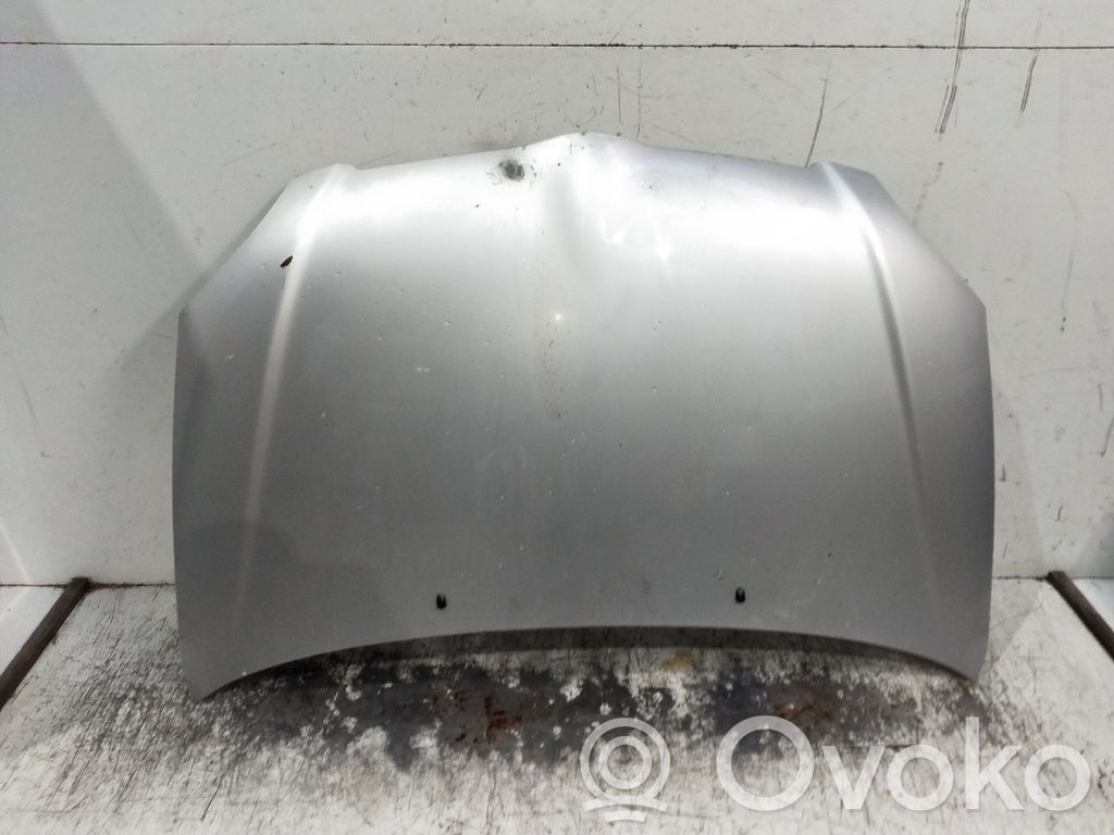 Engine bonnet/hood