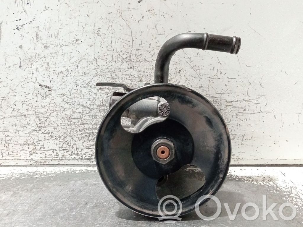 Servopumpe   29CRDI