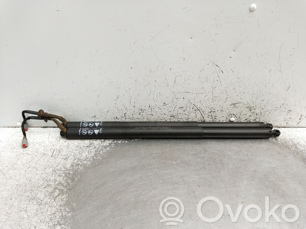 Tailgate/trunk strut/damper   L1TBS404C84AA