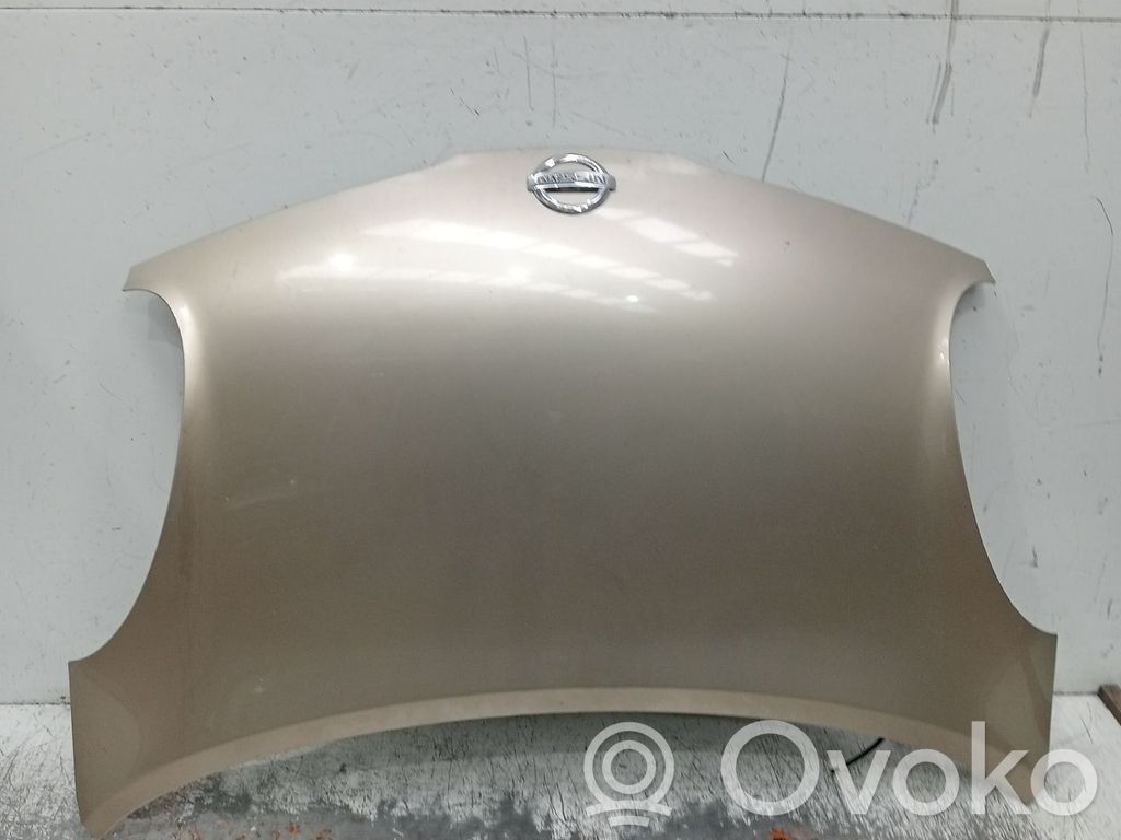 Engine bonnet/hood