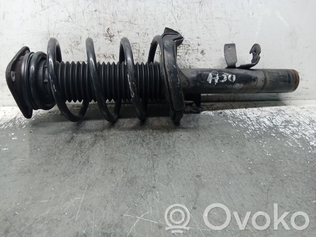 Ford C-MAX II Front shock absorber with coil spring 