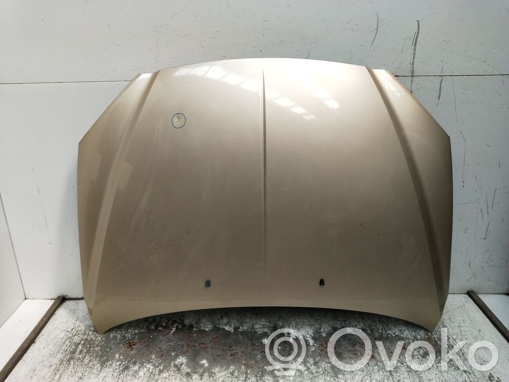 Motorhaube