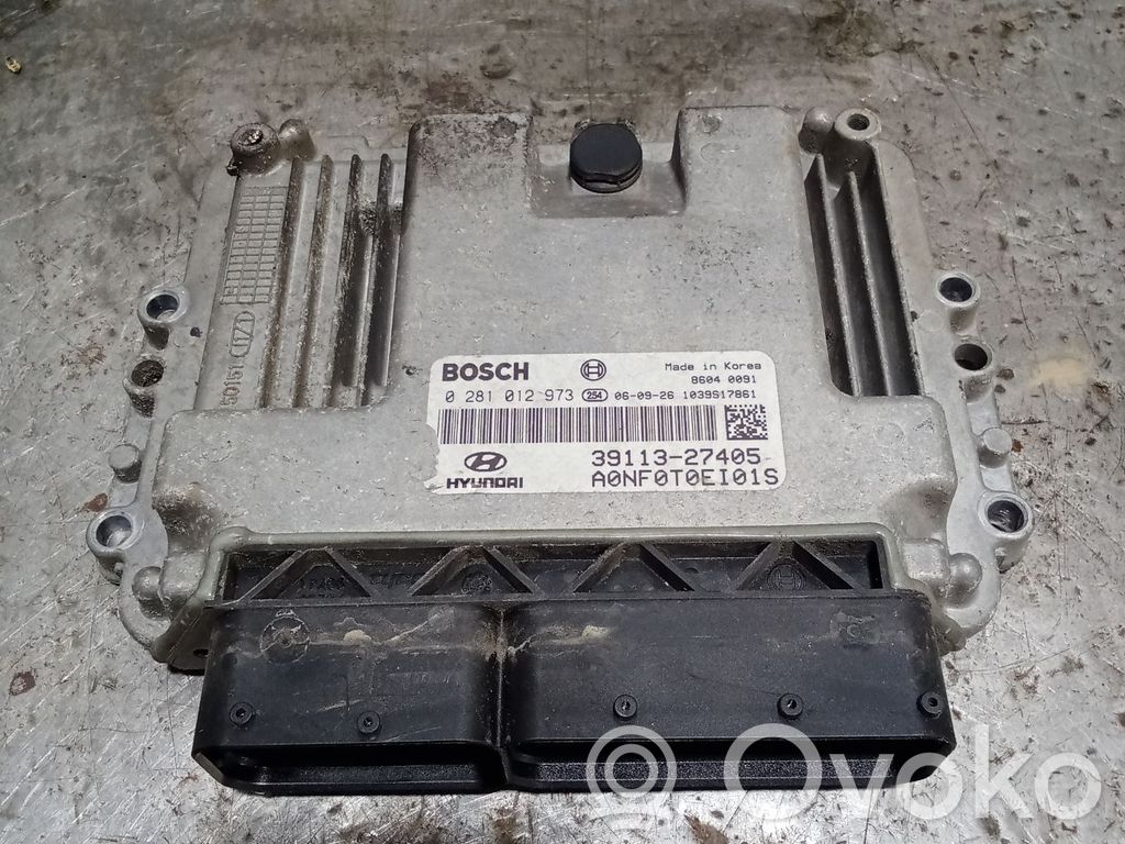 Engine control unit/module   0281012973,3911327405