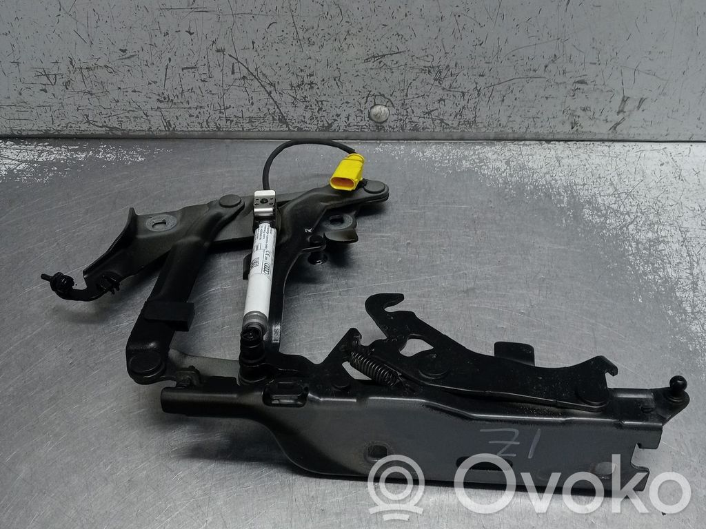 Audi Q5 SQ5 FY Vyris (-iai) variklio dangčio 