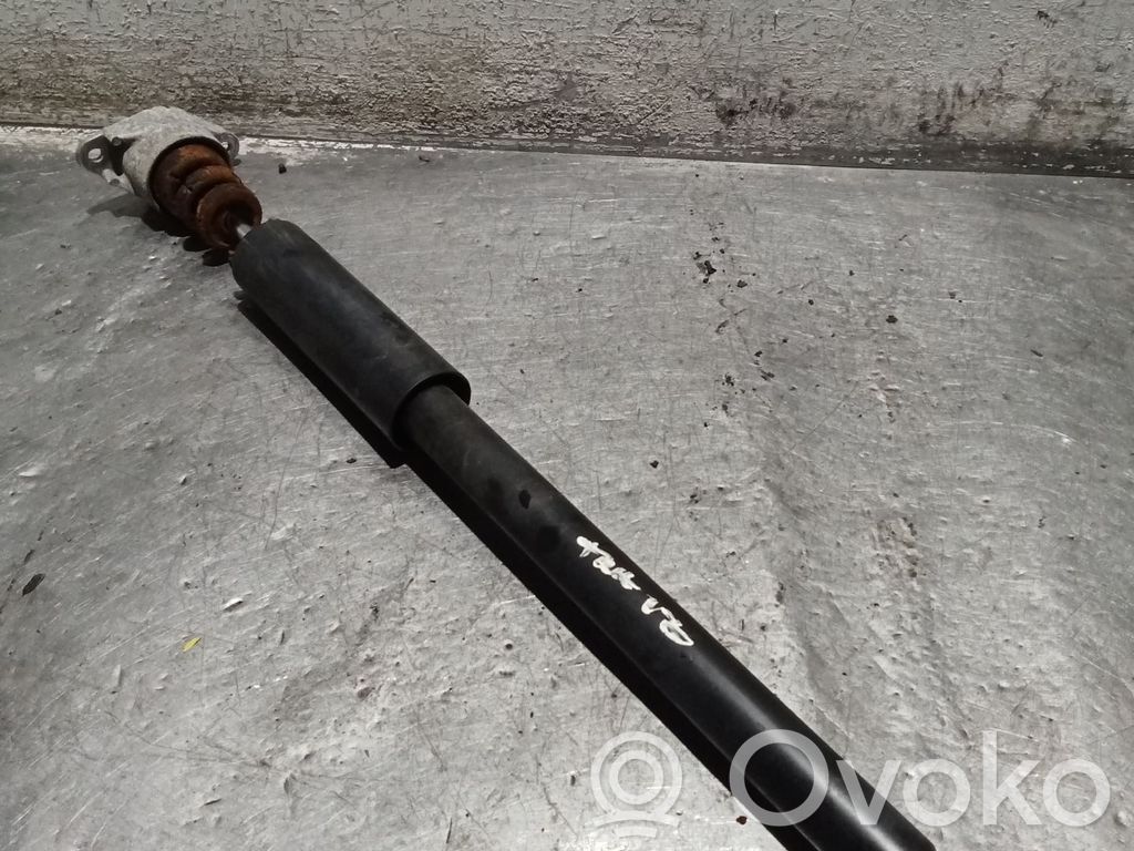 Stoßdämpfer hinten   14G