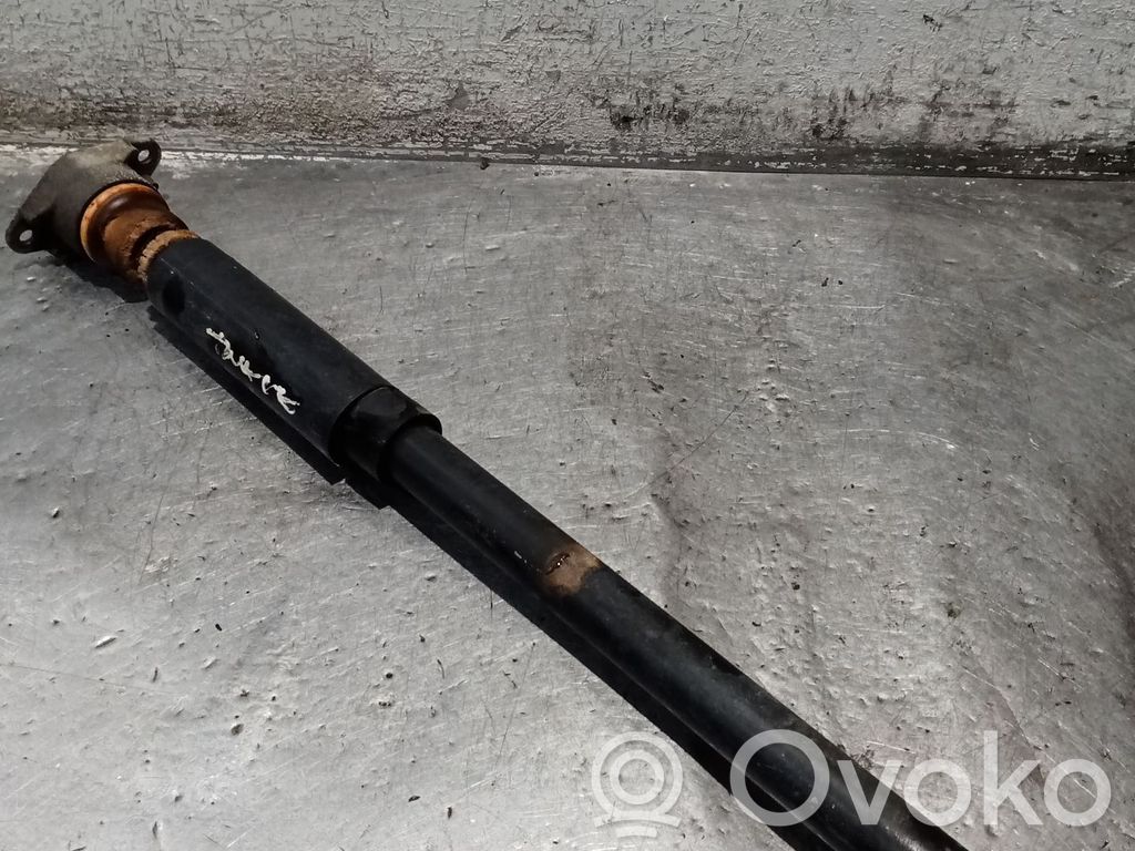 Ford Fiesta Rear shock absorber/damper 