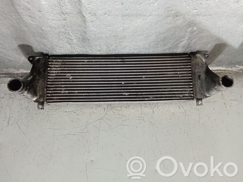 Land Rover Range Rover P38A Starpdzesētāja radiators 