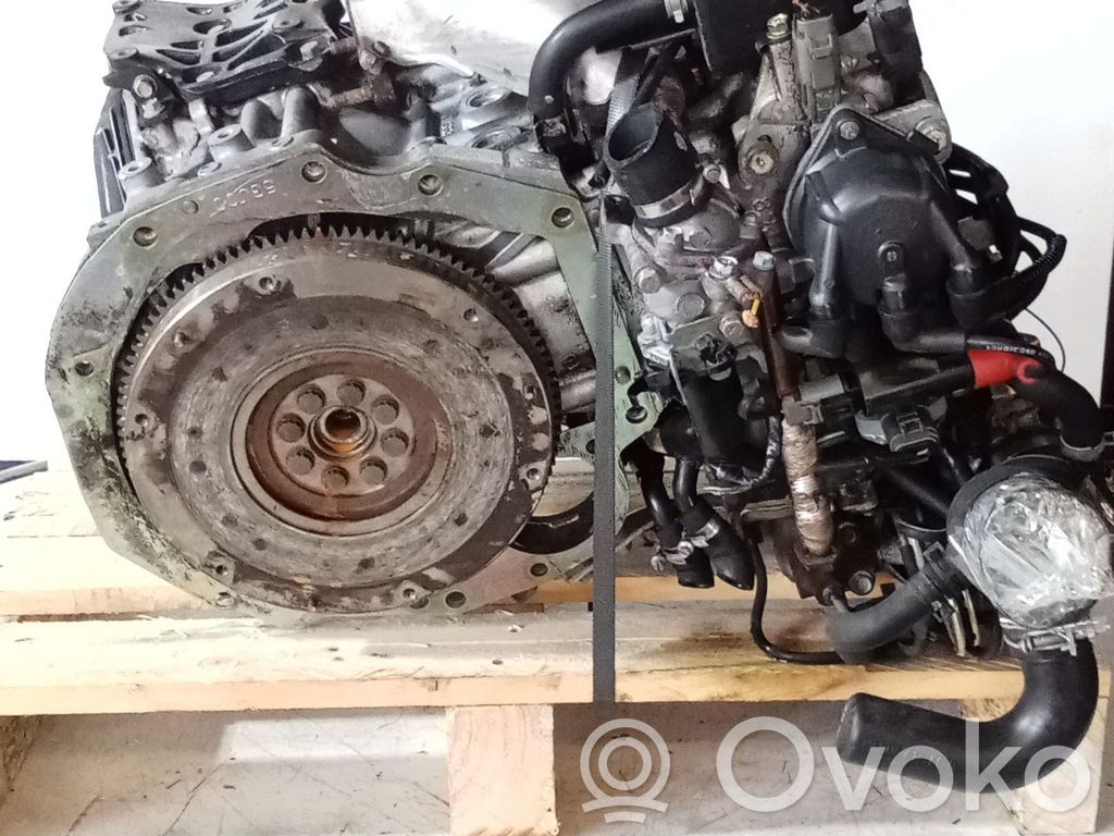 Nissan Primera Motor 