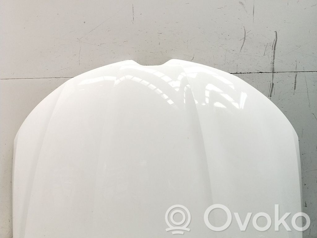 Engine bonnet/hood