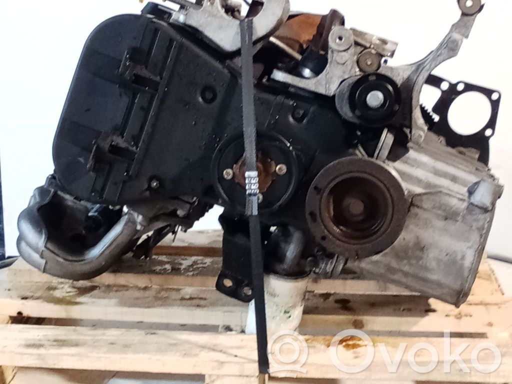 Variklis   L1E