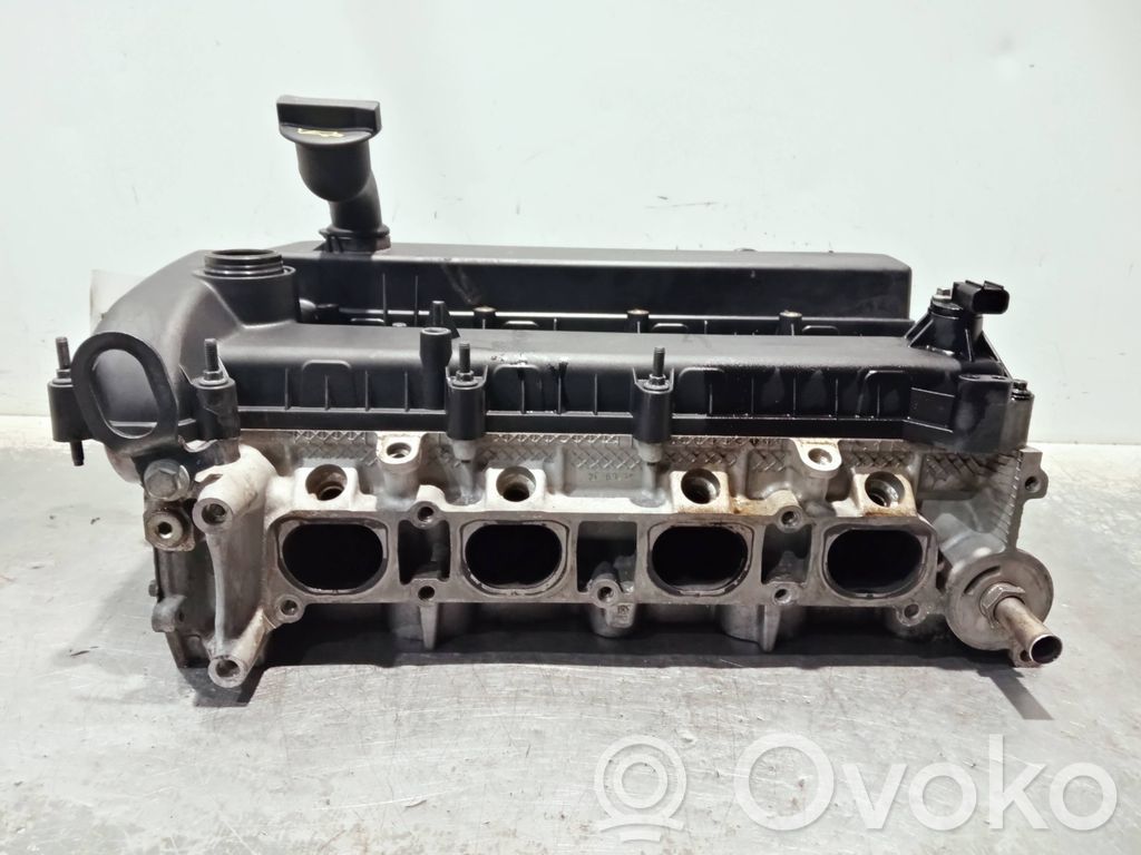 Galvutė   RF6M8G6090,SEWA
