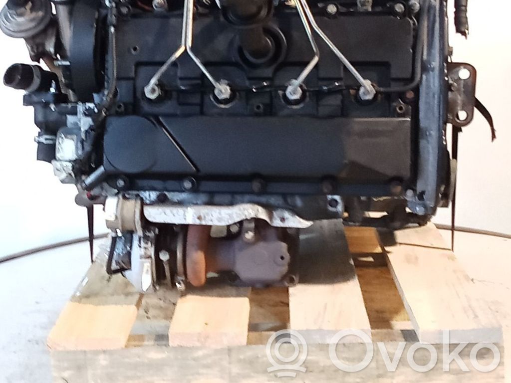 Ford Transit Motore 
