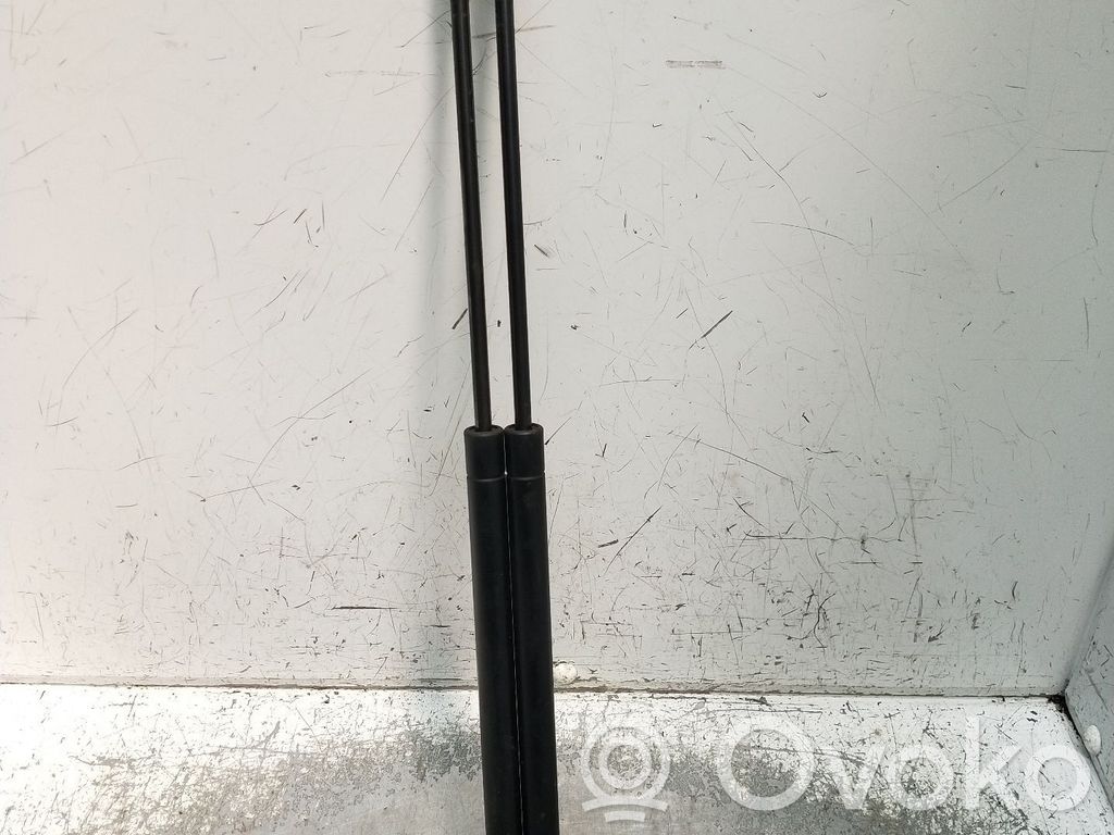 Takaluukun tuen kaasujousi   ML5410