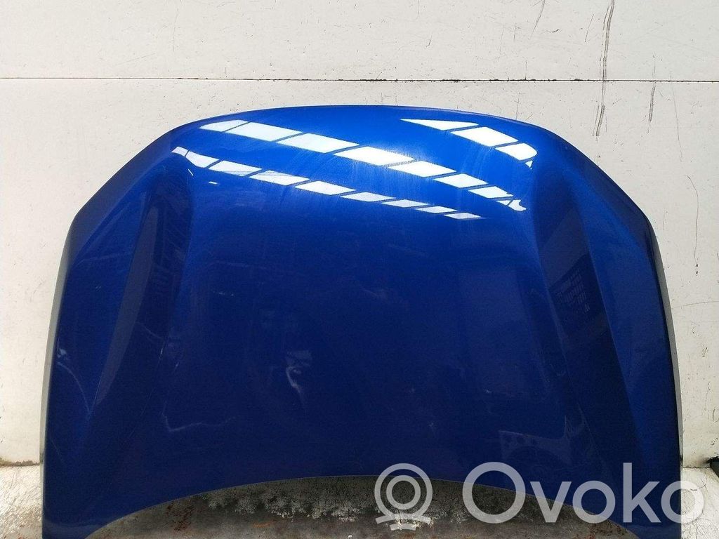Vano motore/cofano