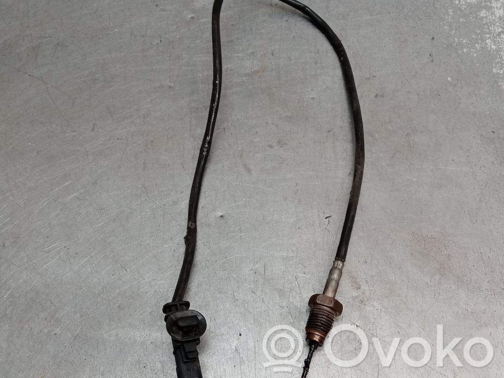 Fiat Doblo Sensor 