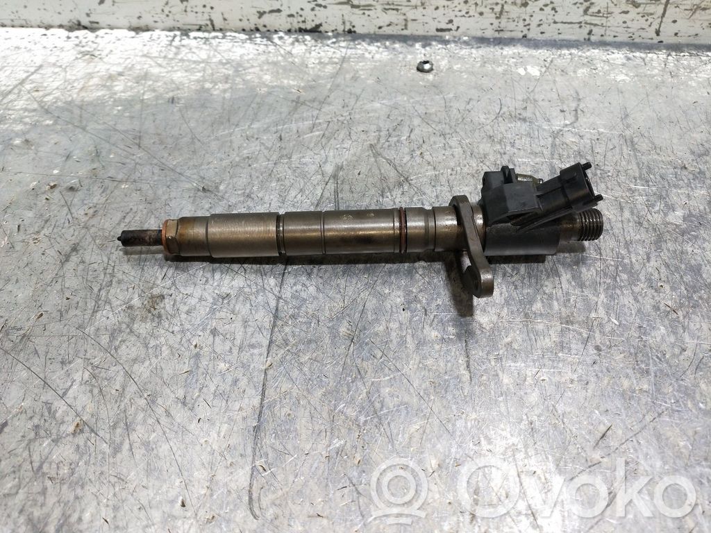 Land Rover Range Rover Sport L320 Injector combustibil 