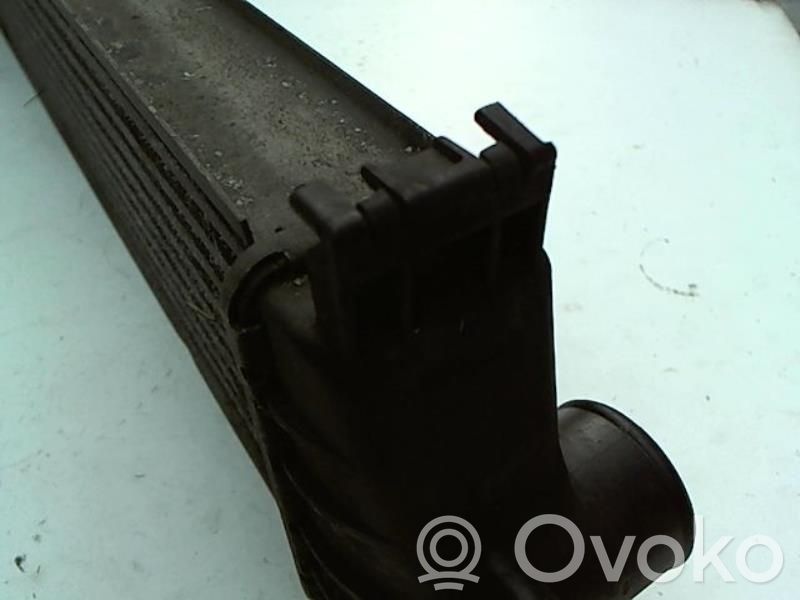 Intercooler radiator   17512245512,2245512