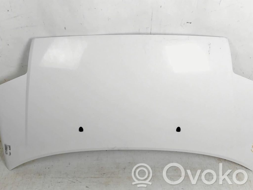 Capó/tapa del motor   7901K2