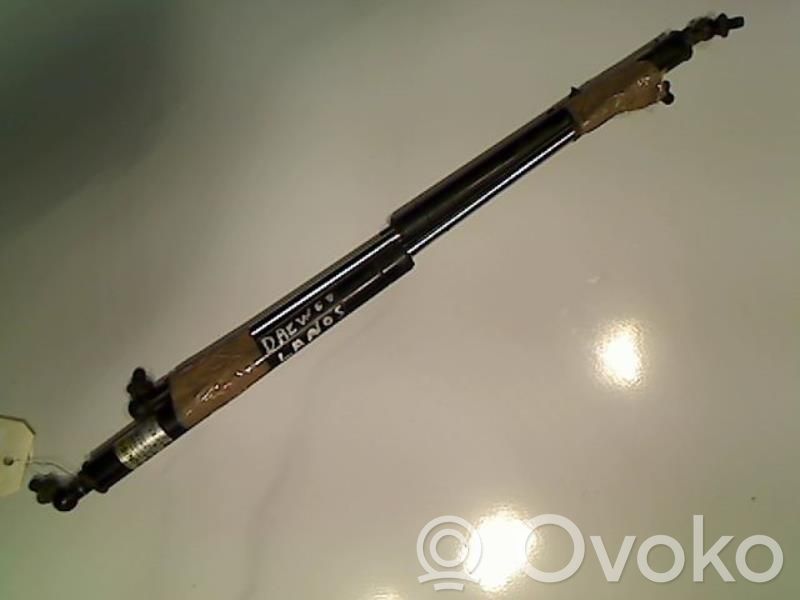 Tailgate/trunk strut/damper