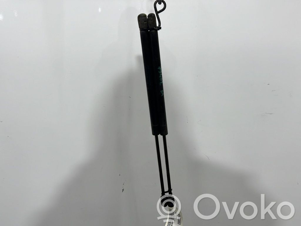 Tailgate/trunk strut/damper   1150277