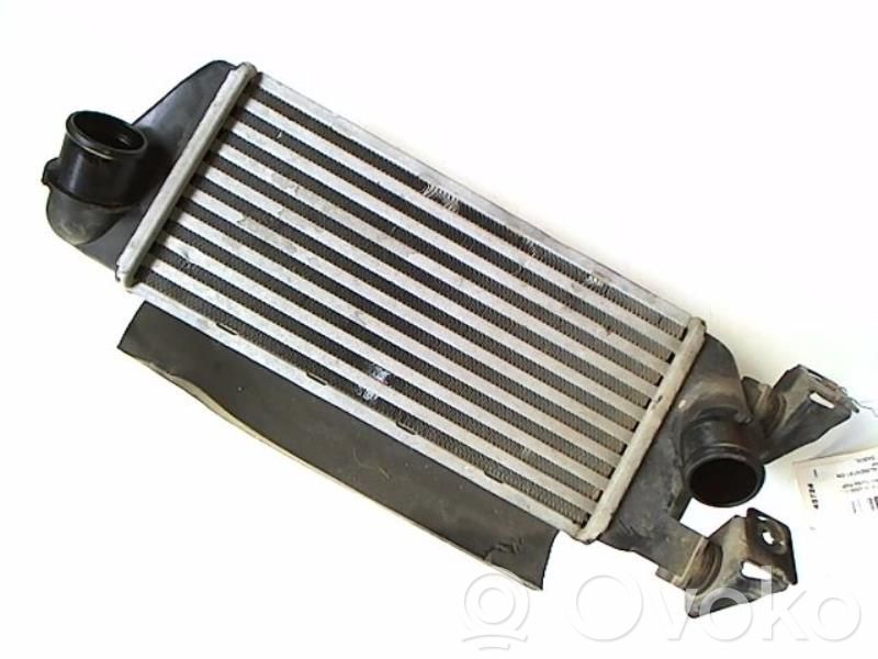 Intercooler radiator   1560794,2001111037
