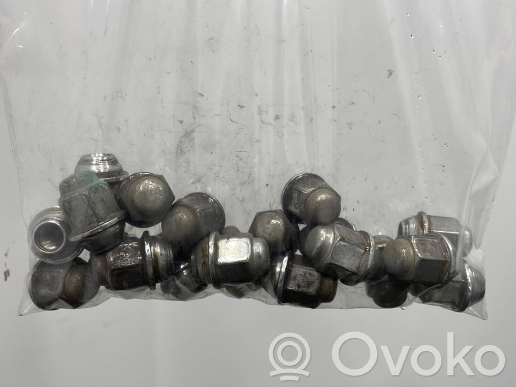 Mutterit/pultit   5295017000