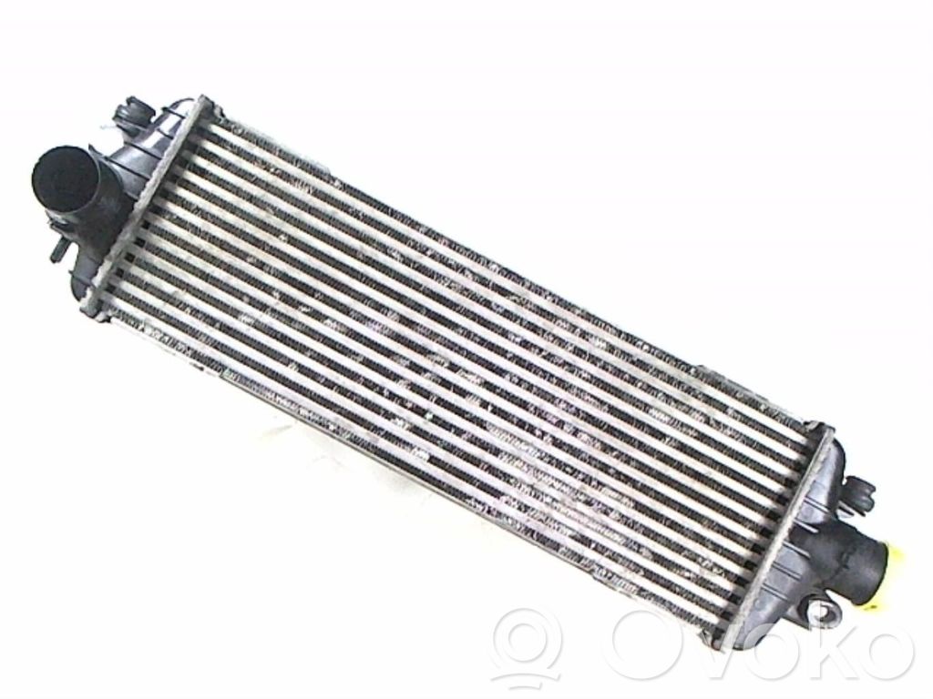 Interkūlerio radiatorius   8200219497
