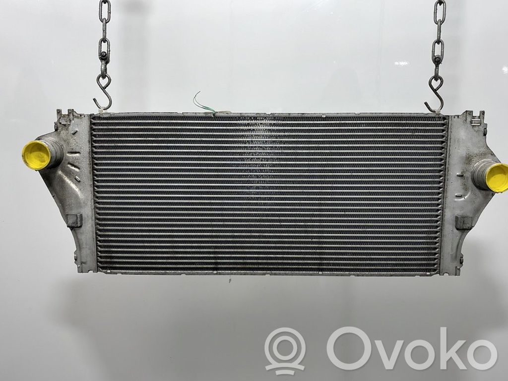 Intercooler radiator   8200008761