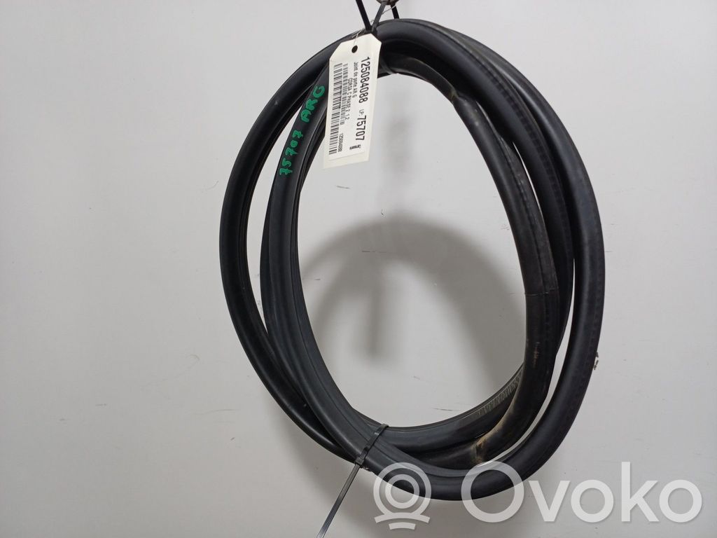 Opel Corsa C Rear door rubber seal (on body) 
