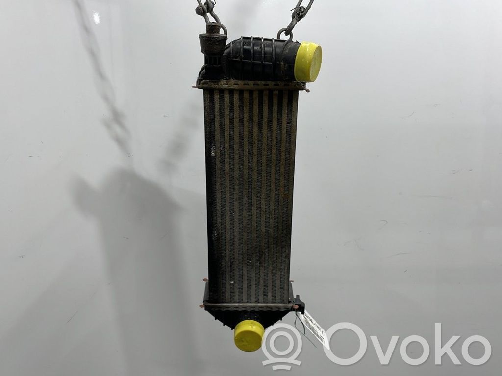 Radiator intercooler   8200427469