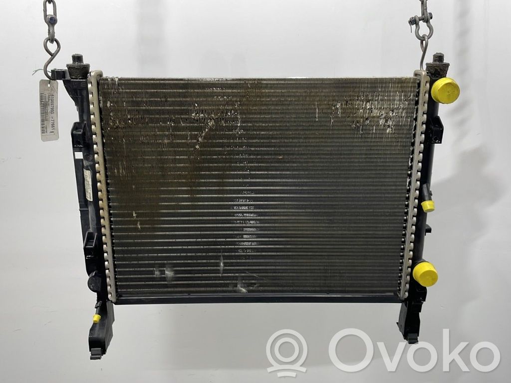 Wasserkühler   8200418328