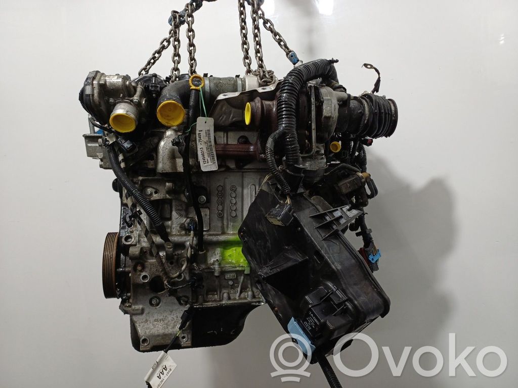 Variklis   1733055