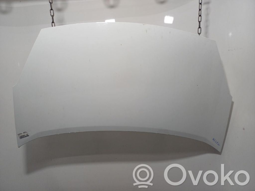 Konepelti   7901P7
