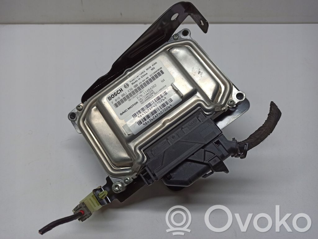 Engine control unit/module ECU