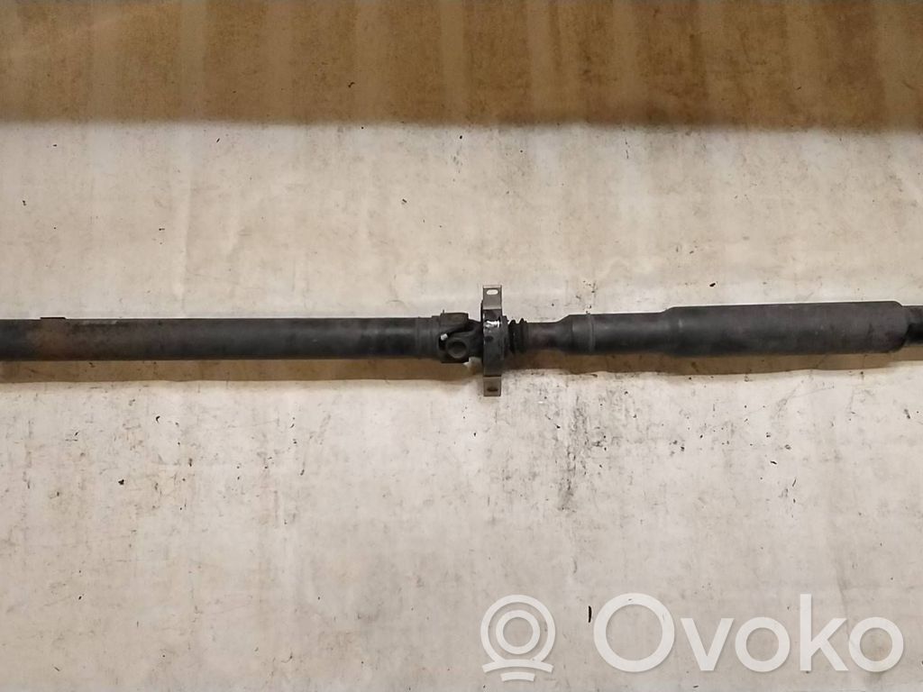 Drive shaft (set)   7527339,752733905