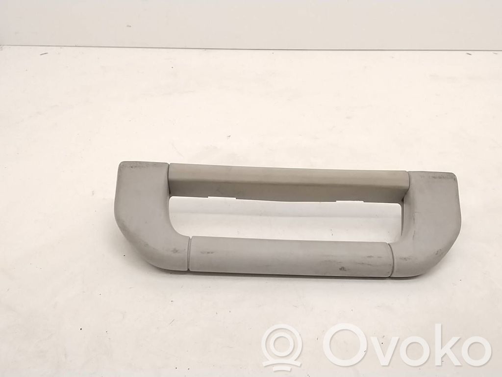 Haltegriff vorne   81789909