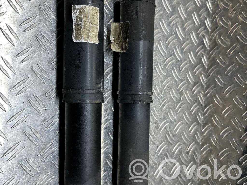 Peugeot Expert Aizmugurē amortizators 