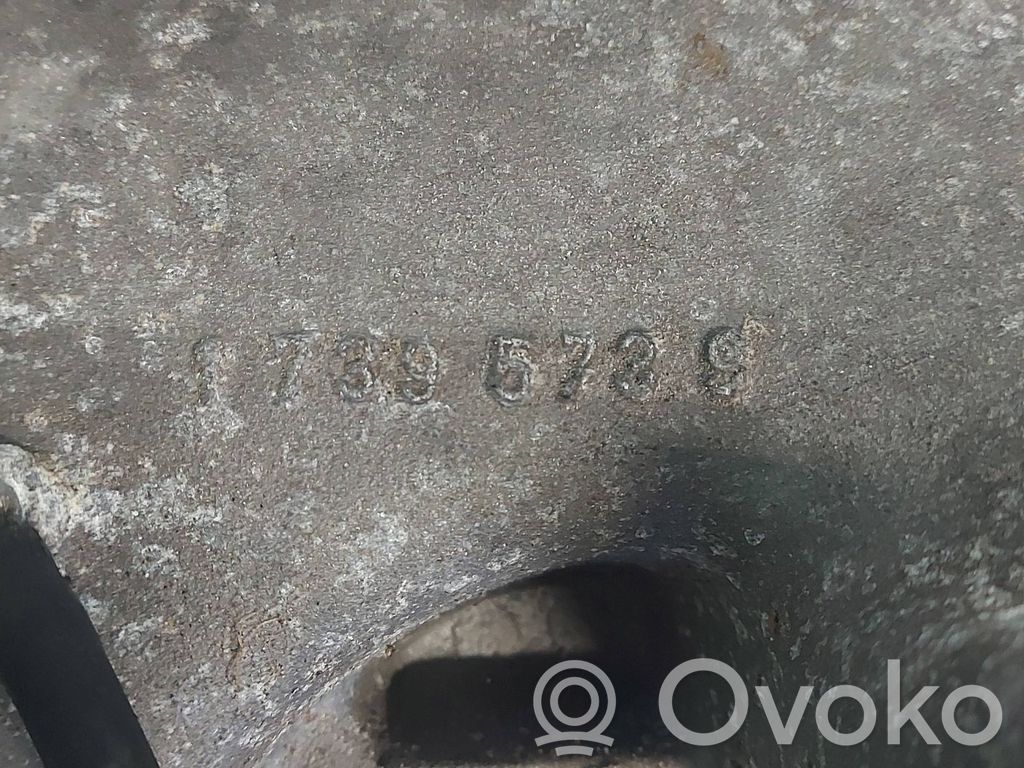 Imusarja   17395739