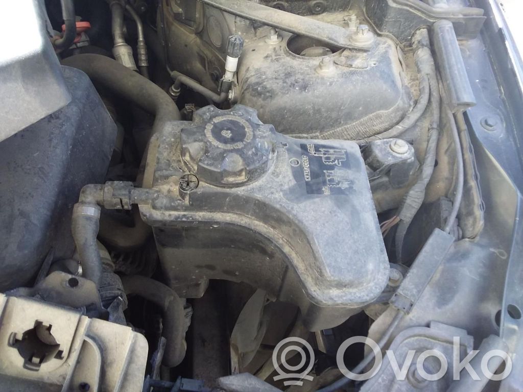 Fuel expansion tank
