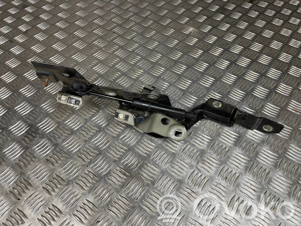 Renault Zoe Engine bonnet/hood hinges 