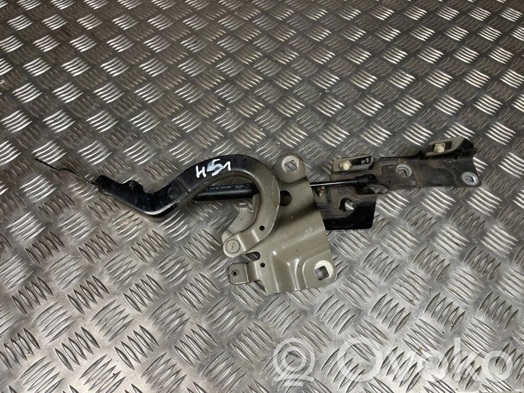 Renault Zoe Engine bonnet/hood hinges 