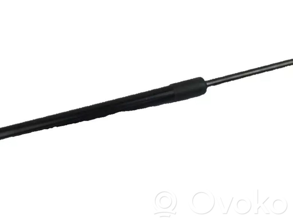 BMW i3 Tailgate/trunk strut/damper 