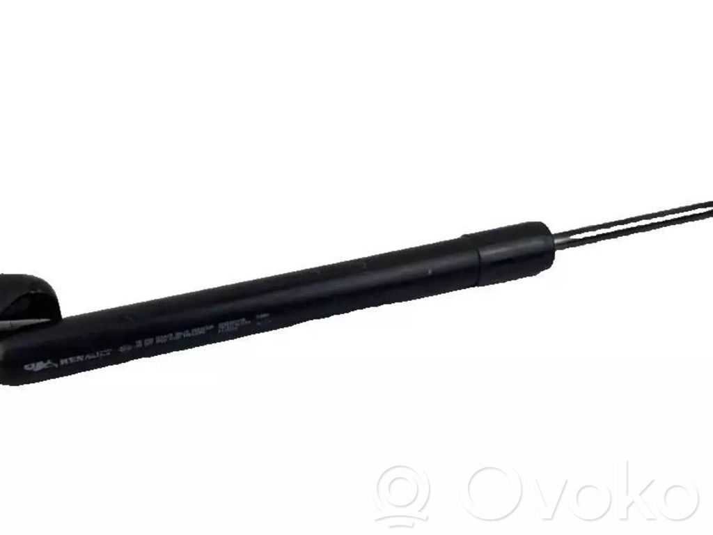 Renault Zoe Tailgate/trunk strut/damper 