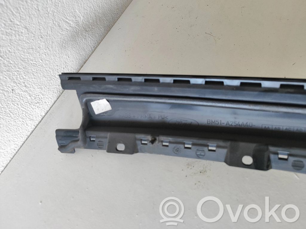 Ford Focus Listwa / Uszczelka szyby drzwi tylnych 