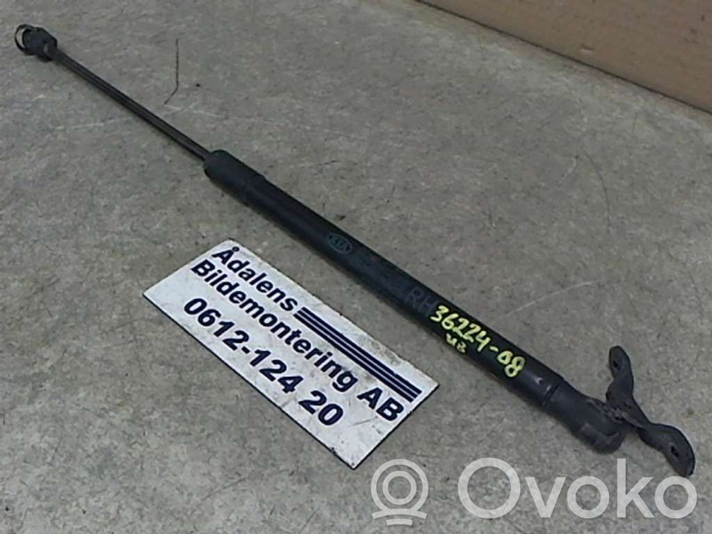 KIA Ceed Tailgate strut 