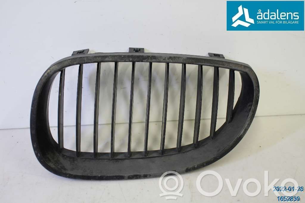 Front bumper lower grill   51137027061