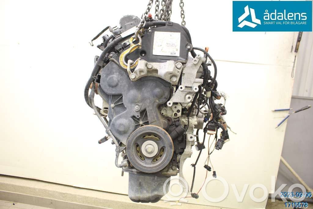 Motor   0135RG,DV6DTED