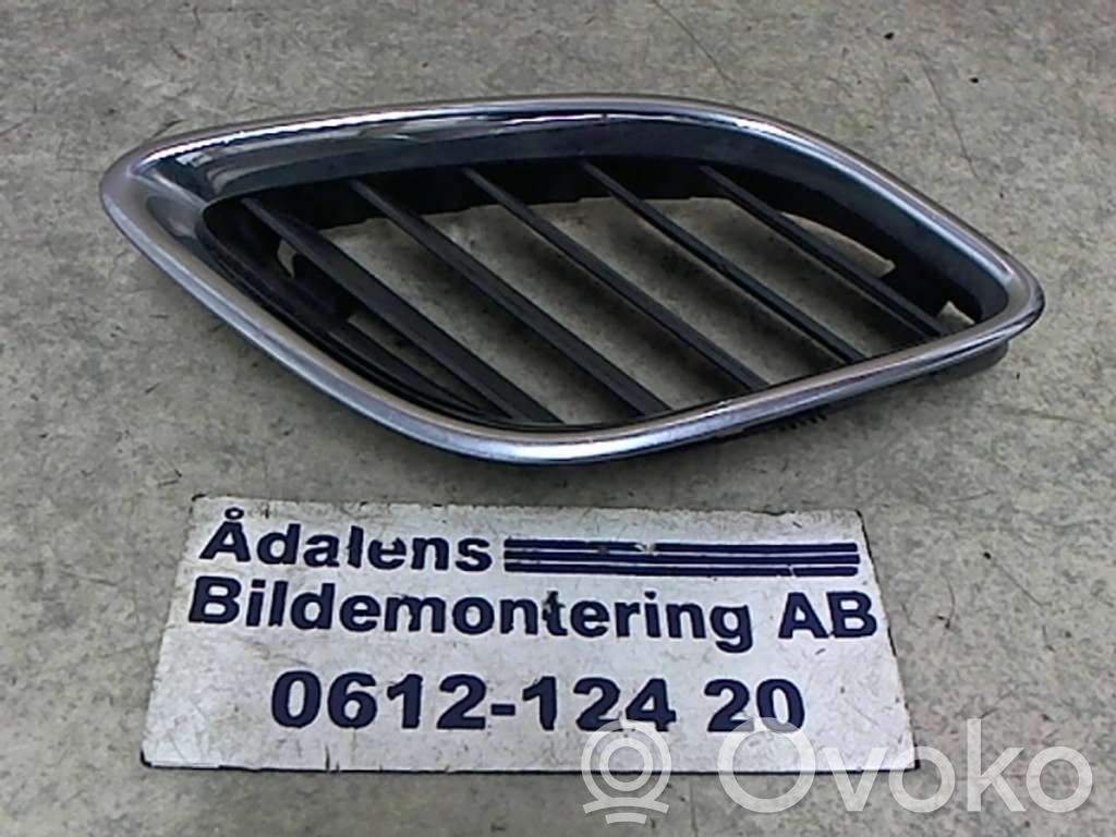 Front bumper lower grill   5336151