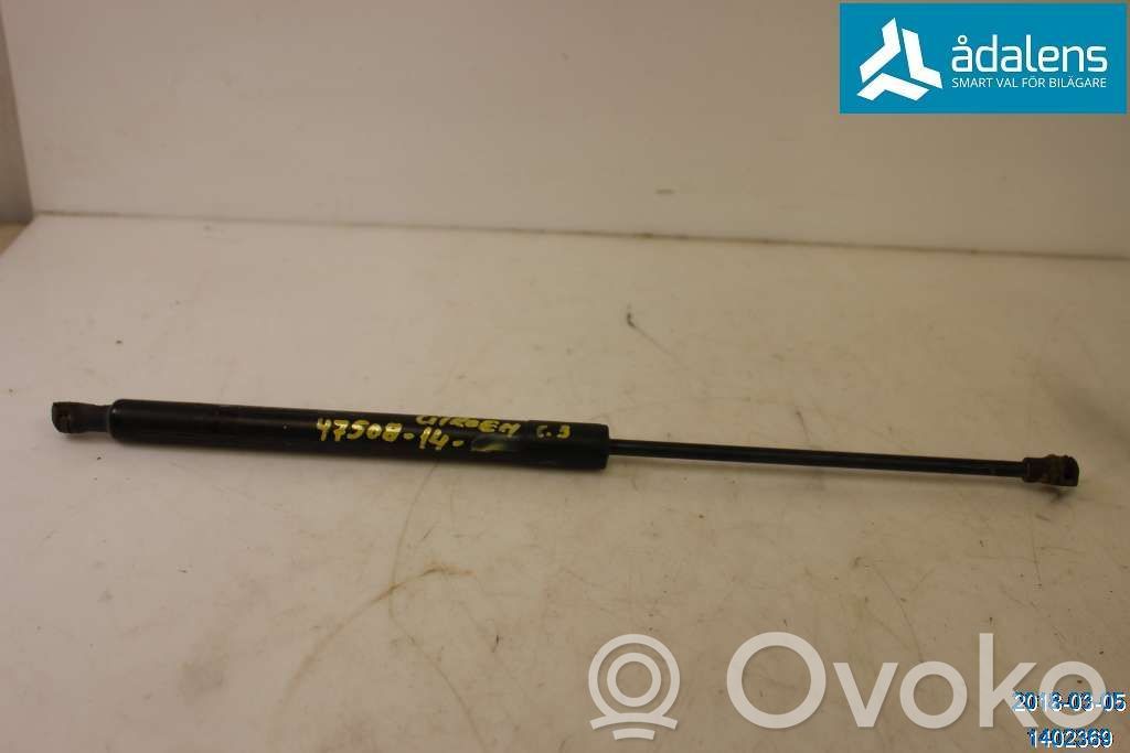 Tailgate strut   8731T9,9683733980